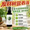 Árbol del Dinero Fertilizante Fertilizante Especial Plantas Verdes Plantas de Interior en Maceta Hidroponía Hojas Amarillas Marchitas Solución Nutritiva Universal Fertilizante Soluble en Agua