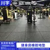Tapetes Silenciosos para Equipamentos de Academia, Pisos para Áreas Internas, Cordas de Batalha Crossfit, Tapetes Esportivos, Piso Específico para Academia