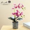 Flores Artificiales Cuidadosamente Seleccionadas, Orquídea Phalaenopsis Artificial de Plástico con Doble Rama y 12 Flores, Bonsái Creativo para Decoración Interior, Fabricante de Flores Artificiales, Planta Artificial en Maceta