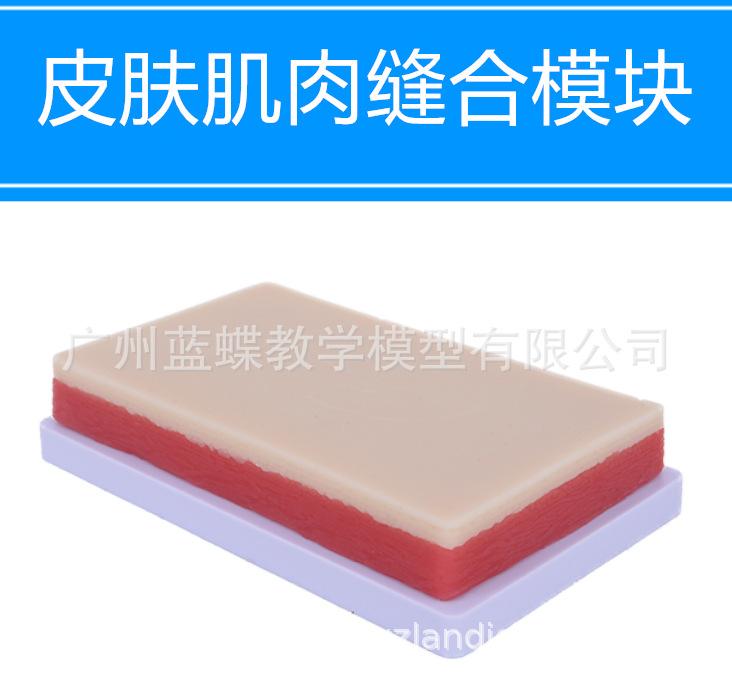 皮肤缝合模块(平板)