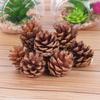 Pinha de pinho natural puro faça você mesmo artesanato artesanal suprimentos de decoração de natal atacado pequenos brinquedos para animais de estimação mordida