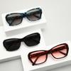 Nuevas Gafas de Sol Ojo de Gato Europeas y Americanas 2024 para Mujer Estilo Chanel Personalizado Moda Simple Celebridad de Internet en Vivo Gafas de Sol Transfronterizas