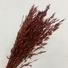 Flor seca de Yunnan flor eterna flor seca de aveia espiga de trigo buquê decoração de casa materiais florais macios materiais de combinação floral