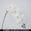 Flores de Orquídea Realistas de 38 pulgadas de Amazon para Fondos de Boda y Decoraciones Florales Orquídeas Artificiales