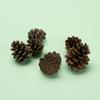 Novas Decorações de Árvore de Natal de Pinus Nuo Decorações de Madeira tamanho pequeno Pinha Natural Adereços para Fotos Árvore de Natal Bolas de Pinus