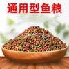 Línea de Producción de Alimento Flotante para Peces, Maquinaria Hidráulica, Pepino de Mar, Abulón, Fabricante de Fuente de Extrusión de Alimento para Peces, Línea de Producción Completa