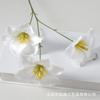 Flor de simulação 3 cabeças tulipa aberta impressão 3D tecido fosco arranjo de flores de casamento para casa ornamentos adereços para fotografia