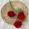 Crisântemo Bola Cebolinha Bola Flor Casamento Decoração de Casamento Celebração Projeto Flor Artificial Flor Falsa Decoração de Casa Ornamentos Fotografia
