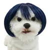 Perucas para animais de estimação, produtos populares transfronteiriços, adereços de cabeça engraçados para cães, chapéus de festa para gatos de estimação, acessórios da moda para cães pequenos e médios