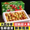 Tâmara de Inverno Shaanxi Dali 2,5kg Fresca Sazonal Caixa Inteira Pacote para Presente com Frete Grátis Tâmara Crocante Doce Tâmara Ácida