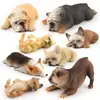 Figuras de Perros Durmiendo de 7 Piezas Set Realista de Figuras de Cachorros de PVC Incluye Bulldog Bulldog Francés Corgi y Más Esculturas Decorativas de Animales para Niños