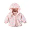 Conjunto de dos piezas cortavientos para niño de primavera y otoño, Chaqueta con capucha estilo coreano para bebé, Ropa infantil de comercio exterior transfronterizo para bebé