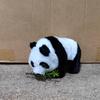 Juguete de Peluche para Gatear Infantil Cachorro Oso, Panda Eléctrico Realista con Hojas de Bambú, Puede Caminar y Hacer Sonidos, Panda Gigante