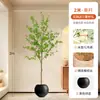 Planta Artificial Madeira de Cavalo Verde Planta Falsa Planta em Vaso Peça Decorativa Grande para Sala de Estar Campanula Japonesa Bonsai Artificial