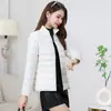 Jaqueta Curta de Algodão com Gola Alta para Mulheres, Nova para o Inverno, Slim Fit, Camada Base Leve e Quente, Adequada para Usar por Dentro ou por Fora