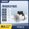 YY5612 máquina encogible por calor miniatura de 90W YY5622 horno motor de ventilador circulante de eje largo motor monofásico Dingyi