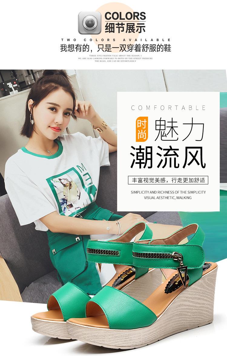 5595详情页标准_06.jpg