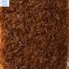 Em estoque: veludo pêssego, veludo em relevo, tecido de veludo com estampa de pena de pássaro, tecido para luvas de pelúcia, veludo escovado, tecido para brinquedos de pelúcia