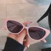 Novos Óculos Gatinho Estilo Europeu e Americano, Estilo Garota Popular Americana, Óculos de Sol Estreitos Doces e Descolados para Mulheres, Moldam o Rosto, Alta Qualidade, Proteção UV