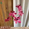 Venta al por mayor transfronteriza de orquídeas Bandai: Orquídeas artificiales Bandai de alta calidad, perfectas para decoraciones de bodas, arreglos de hibiscos y ramos de novia
