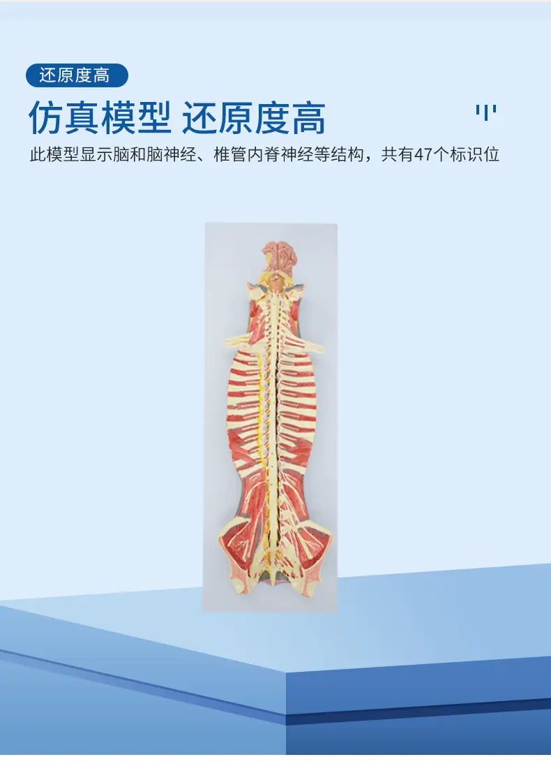 PNT-0642_04