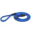 Correa P-chain para mascotas, correa para perros, nylon de alta calidad 1.0CM, correa para mascotas en stock