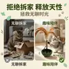 Suministros para mascotas: Juguete tipo vaso con hierba gatera para jugar y aliviar el aburrimiento, juguete para gatos, vaso con hierba gatera, vaso con plumas