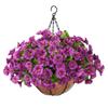 Cesta de Flores de Hierro con Fibra de Coco Estilo Europeo en Stock para Colgar en la Barandilla del Balcón y la Pared, Cesta Colgante Creativa para Plantas de Jardinería y Cultivo de Suculentas