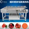 Máquina lavadora de cepillo para limpieza de lodo de ostra y vieira Temai, rodillo de pelo para frutas y verduras paralelo, máquina lavadora peladora en stock, suministro