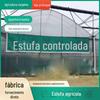 Estufas Controláveis, Estufas de Plantio para Agricultura Ecológica, Estufas Multi-Naves Cobertas com Filme e Cheias de Sol, Galpões para Cultivo de Vegetais e Flores