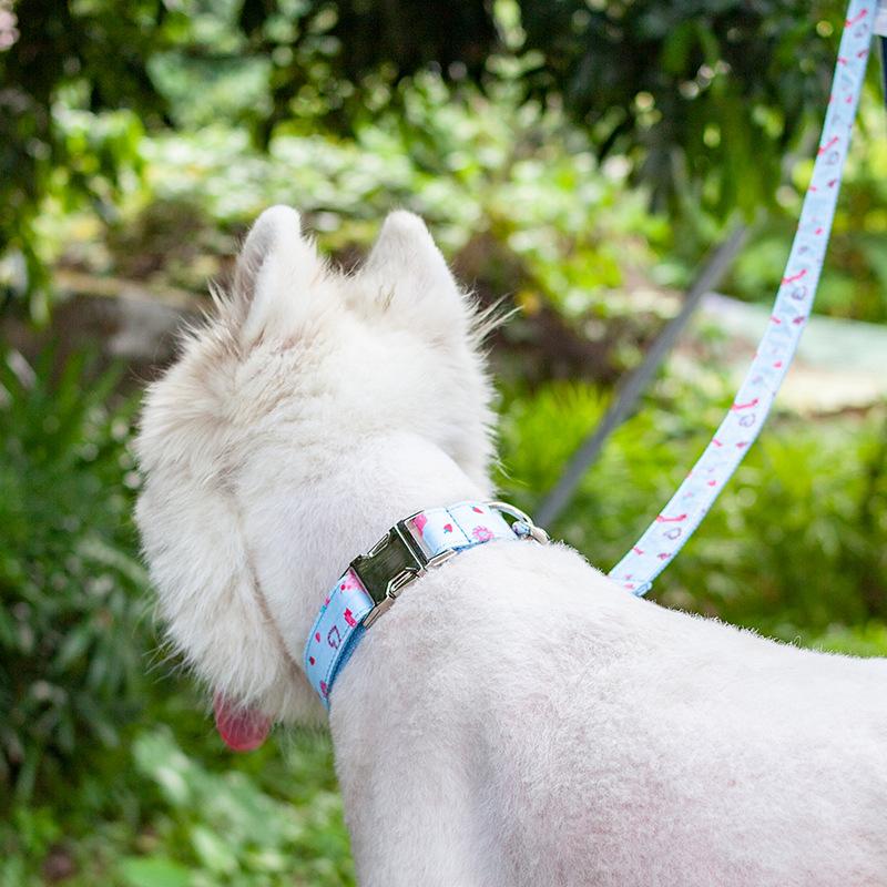 马卡龙蛋糕宠物狗项圈 清新夏日雪糕宠物狗圈 激光刻字金属扣狗