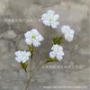 5 Cabeças de Flores de Gardênia para Arranjos Florais de Casamento, Decoração Suave, Arranjo de Flores para Corredor, Decoração de Salão de Casamento, Adereços para Fotografia, Buquê Floral Essencial