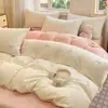 Conjunto de Cama de Inverno Espesso Quente Classe A Leite Fleece Quatro Peças Fleece Coral Flanela Lençol de Cama Capa de Edredom Fronha Roupa de Cama