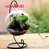 Vidro de borosilicato criativo DIY transparente micro paisagem ecológica garrafa planta garrafa de vidro pendurada bola fabricantes atacado