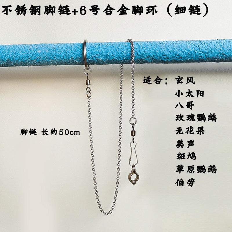 6号脚链