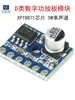 Módulo de Placa Amplificadora Digital Classe D Miniatura Amplificador de Potência de Áudio Mono 5W Chip Xpt8871