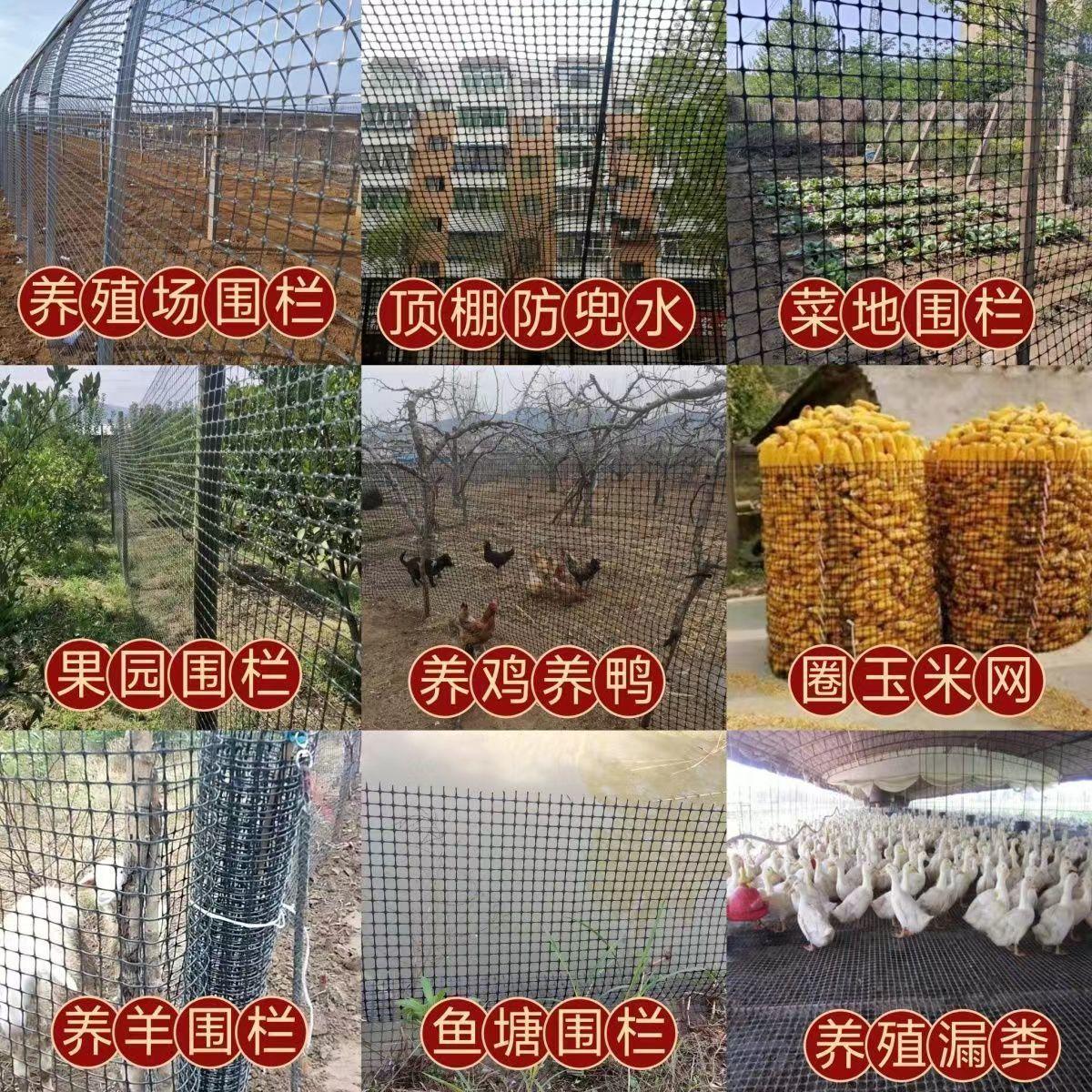 展示3