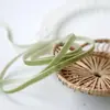 Accesorios para Ropa Encaje 0.7CM Corea del Sur Cinturón de Terciopelo Cinturón de Terciopelo Cinta Flocada Cinta Cinta de Terciopelo