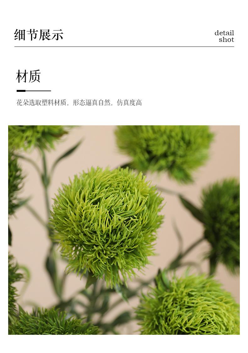 单枝绿石竹_09.jpg