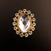 Novos acessórios de liga metálica com pedras de strass incrustadas para sapatos e bolsas DIY feitos à mão, acessórios de liga metálica para carregar a vapor