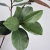 Hojas de Magnolia Simuladas, Ramas de Árbol de Magnolia, Hojas de Planta Simuladas, Decoración para el Hogar y Bodas, Arreglo Floral, Ramas de Magnolia