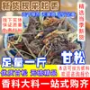 Gan Song Hierbas Medicinales Chinas Productos Secos Raíz de Pino Seca Gan Song Pino Fragante Pino Fragante Hierba Especias Polvo de Gan Song Especias