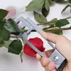 Alicate removedor de espinhos, Removedor de espinhos de rosa, Removedor de espinhos de rosa para floricultura, Pinça removedora de espinhos, Tesouro removedor de espinhos, Ferramenta removedora de espinhos