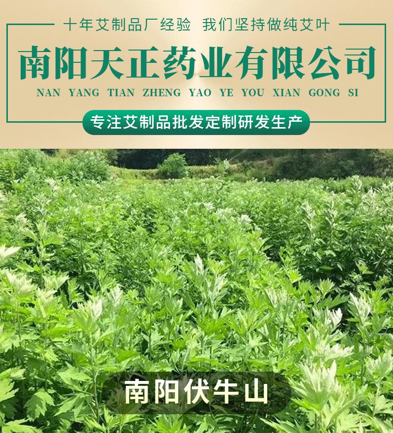 天正开头_01