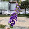 Venta al por mayor de flores artificiales de color púrpura oscuro para bodas, taro morado de uva, decoración suave para salón de bodas morado, decoración con plomo en el camino, flor falsa.