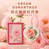 Armario, closet para coche, piedra difusora de aroma, fragancia ambiental para dormitorio, fragancia de larga duración, pieza colgante de aroma fresco, colgante de recuerdo