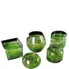 Acuario Ecológico Acuario Hierba Acuática Micro Paisaje a Hoja Huevo de Dragón Vidrio Planta Verde diy Pequeño Hidropónico Casero de Escritorio