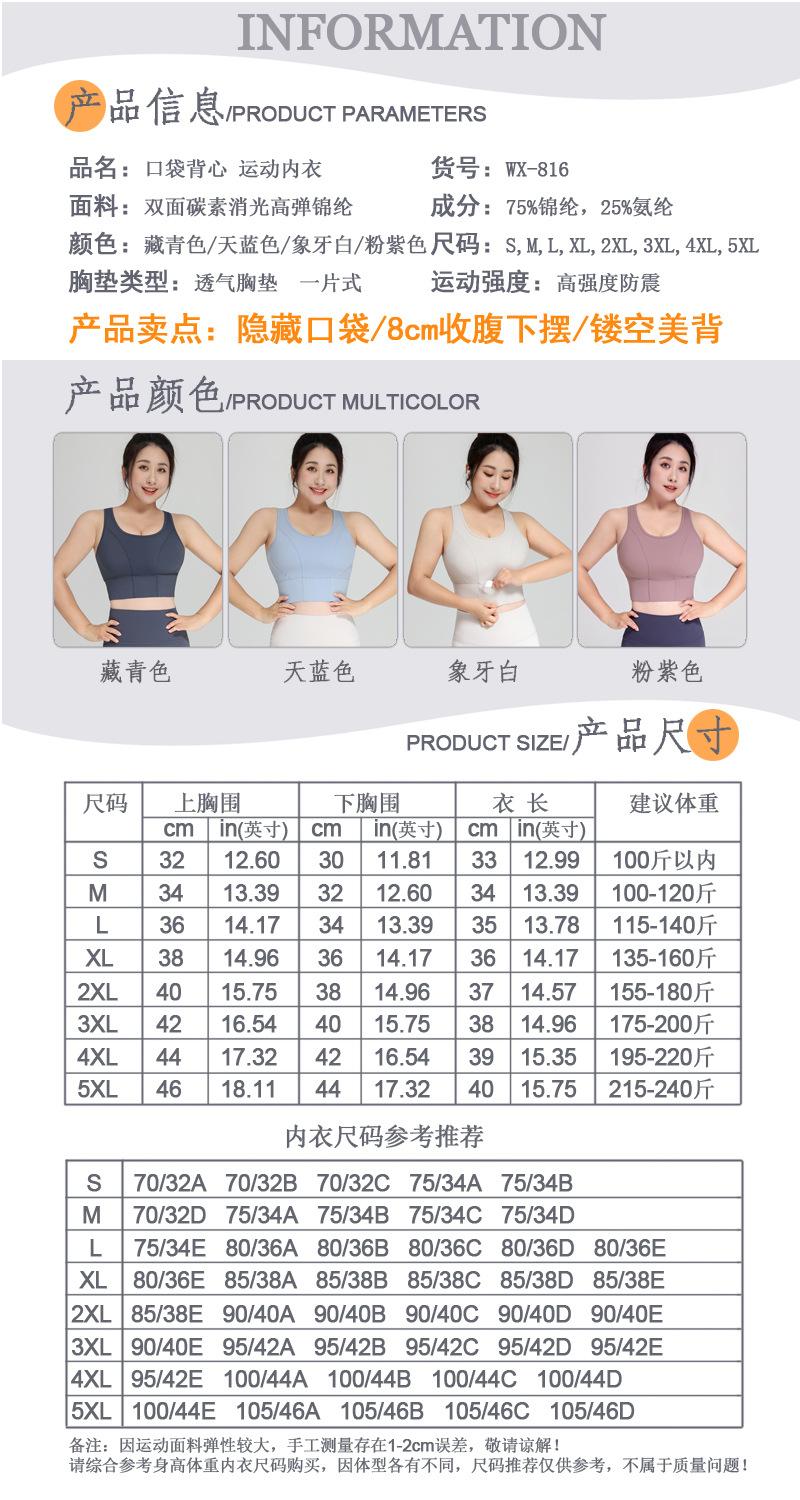 大码系列产品信息2022