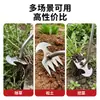 Removedor de Malezas de Acero Inoxidable, Herramienta para Desmalezar el Jardín, Eliminación de Malezas, Cavar Verduras Silvestres, Aflojar la Tierra, Rastrillo Pequeño Multidentado