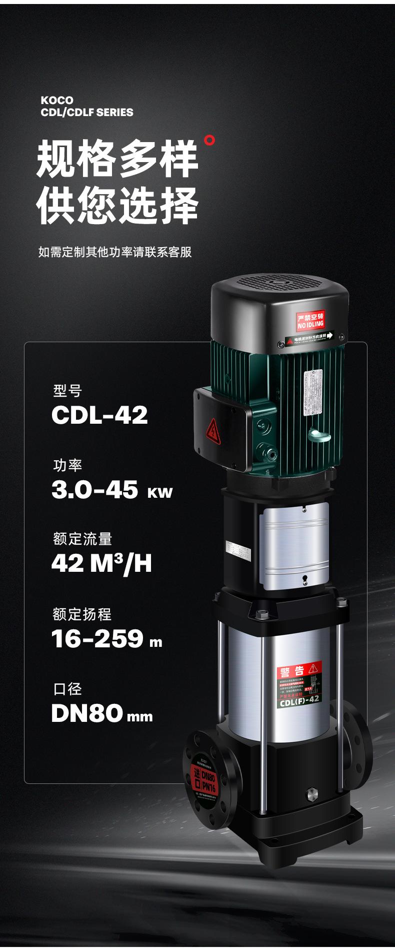CDL42_05.jpg